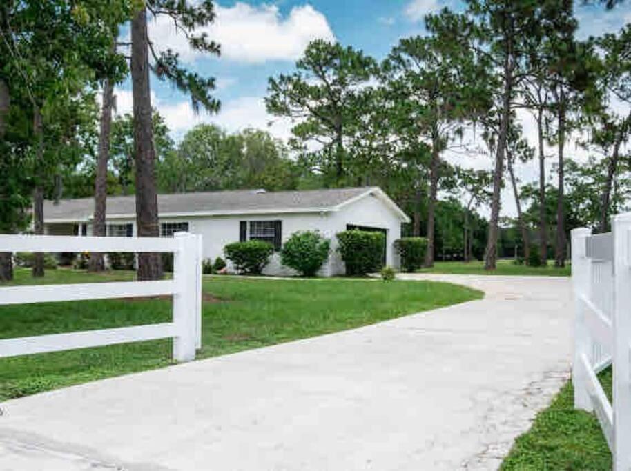 3Bdr2Bath Home In Lutz Close To Tampa, 20 Min To Stadium, Airport Εξωτερικό φωτογραφία